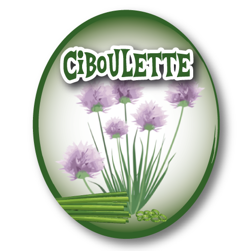 Ciboulette
