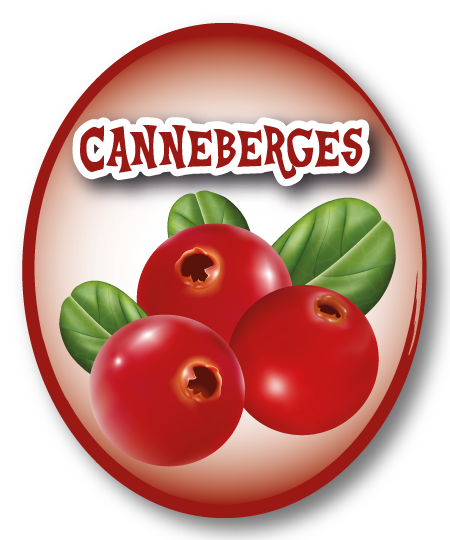 Canneberges