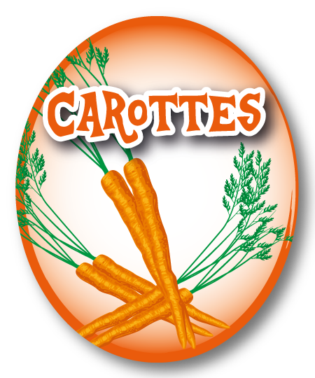 Carottes